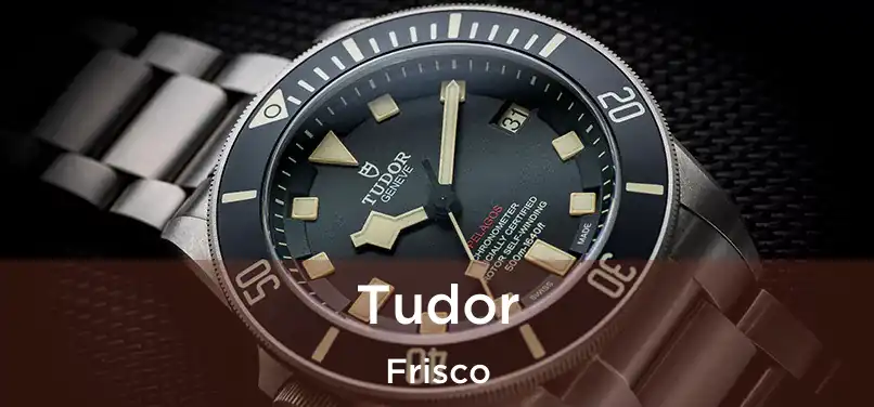 Tudor Frisco